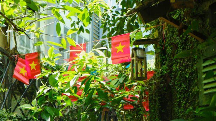 Vietnam's Carbon Exchange Launch Tests a Regulatory Model for Asia