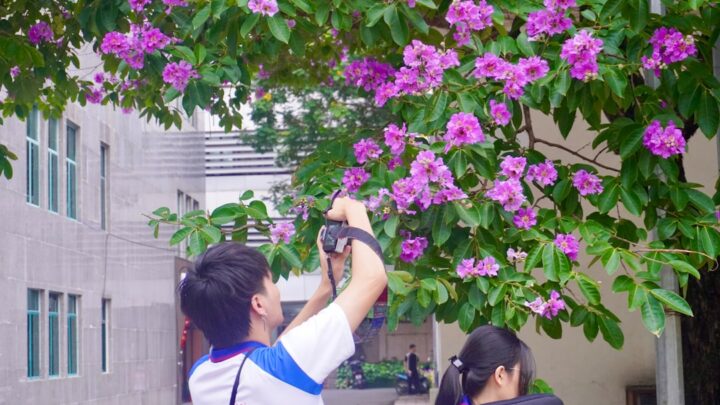 Vietnam's AI Education Gap: Universities Struggle to Train AI Talent