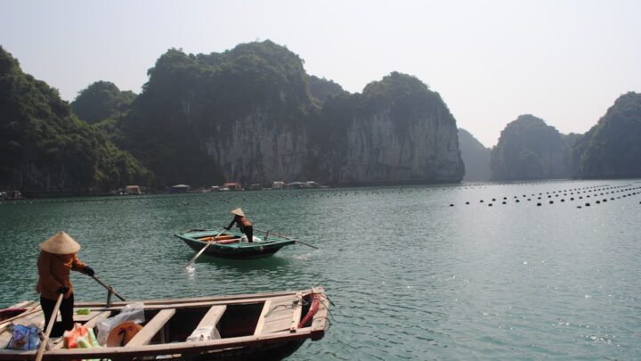 Why Vietnam’s AI traceability push could rewrite seafood trade rules