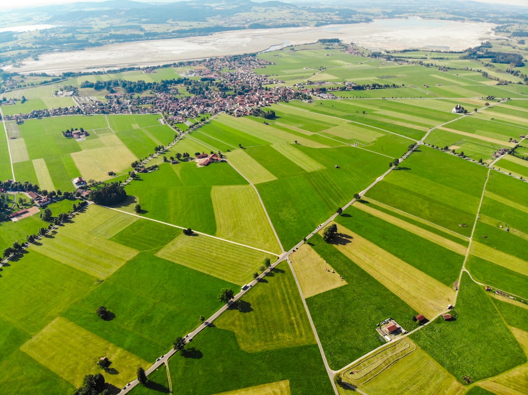 Agricultural sensors in green field with data overlay