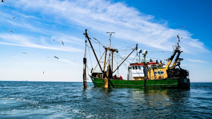 Vietnam’s VNFishbase turns traceability into leverage over EU market access