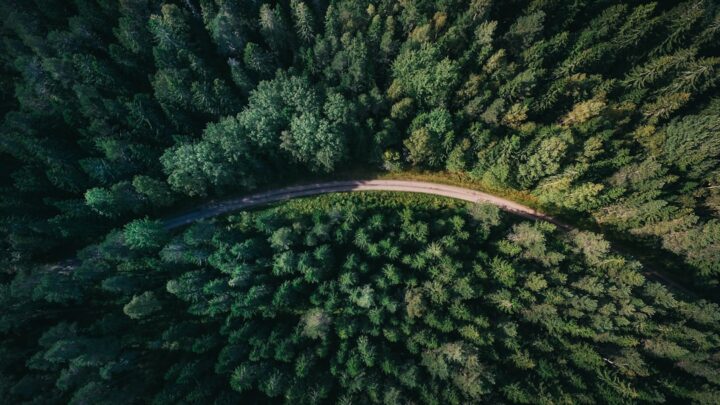 Why Vietnam’s state media is amplifying Indonesia’s carbon market—an AI risk tell